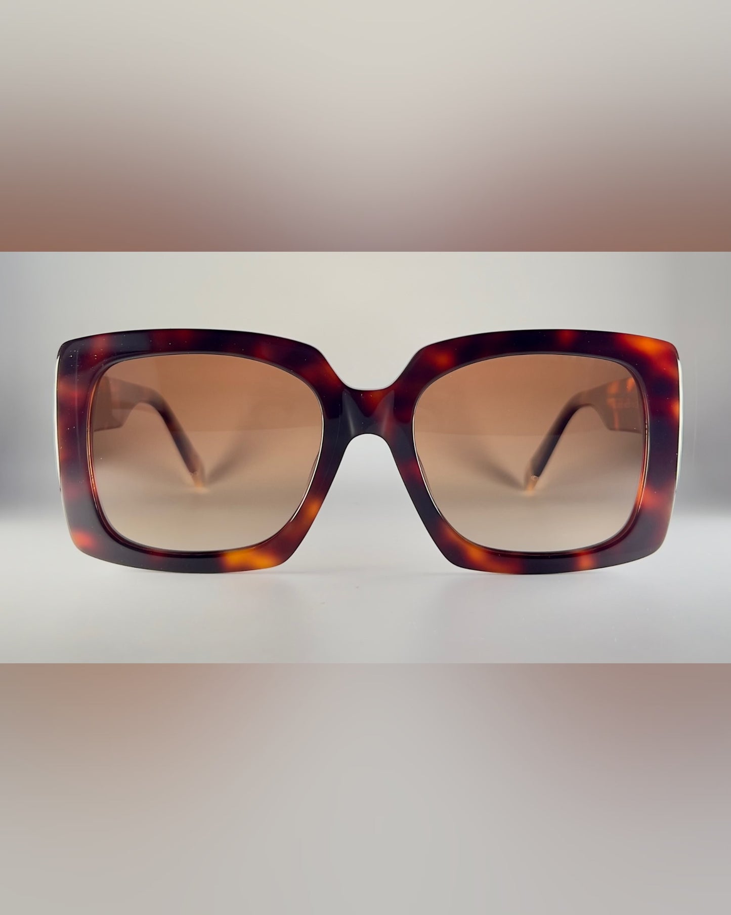 ARIANNA tortoise